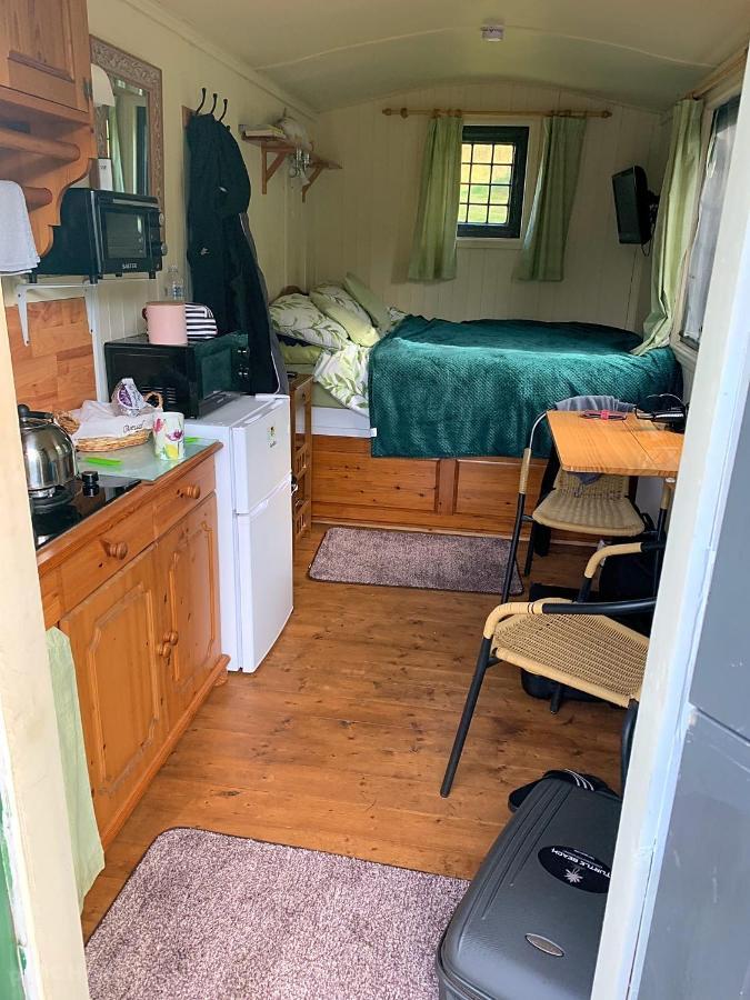 Snug & Secluded Lakeside Shepherds Hut 'Carp' Uckfield Bagian luar foto