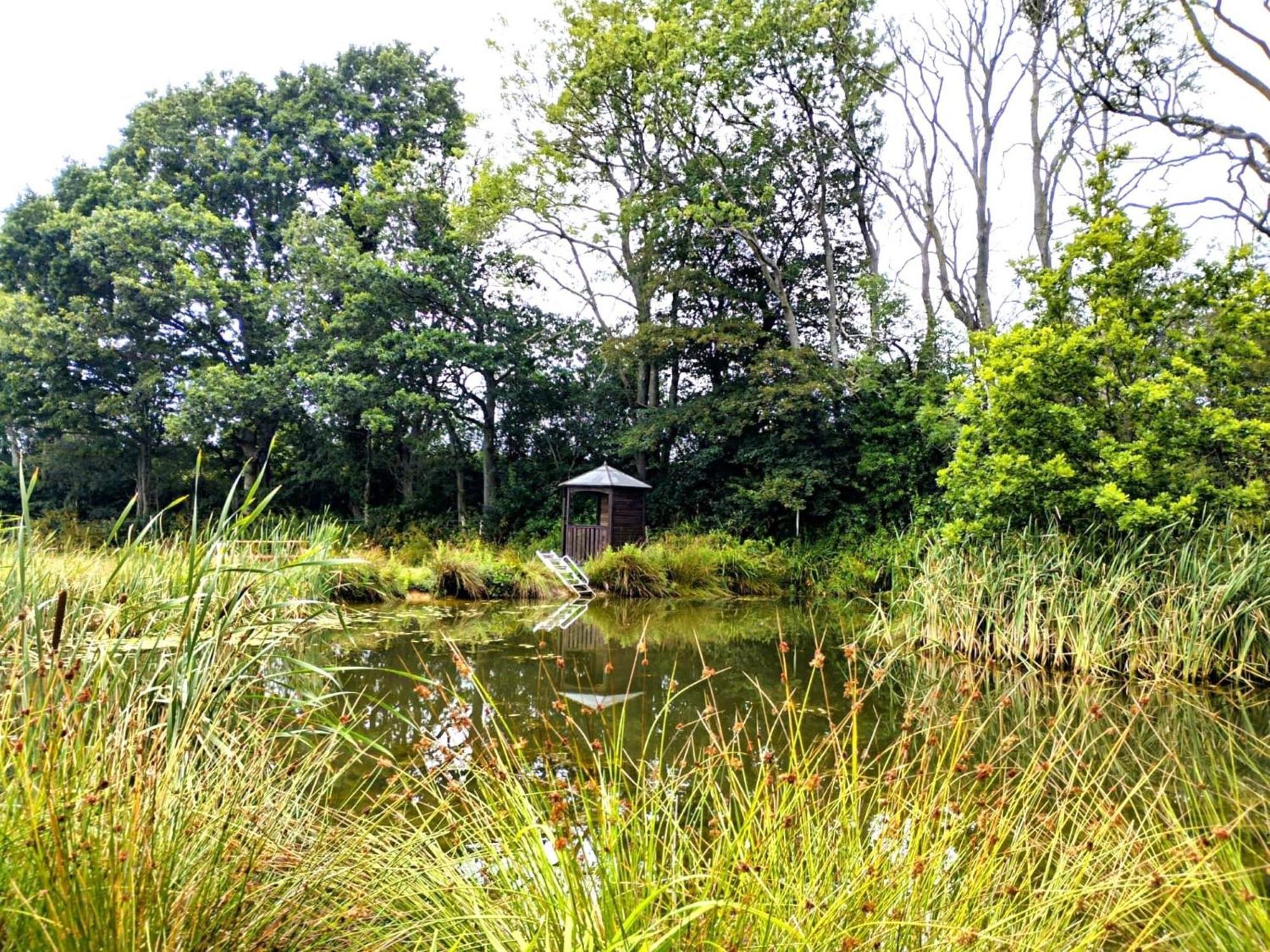 Snug & Secluded Lakeside Shepherds Hut 'Carp' Uckfield Bagian luar foto
