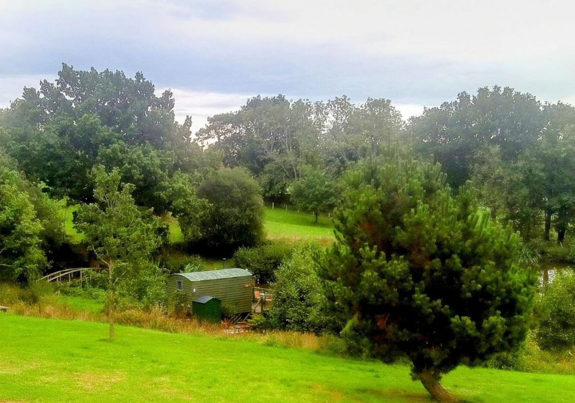 Snug & Secluded Lakeside Shepherds Hut 'Carp' Uckfield Bagian luar foto