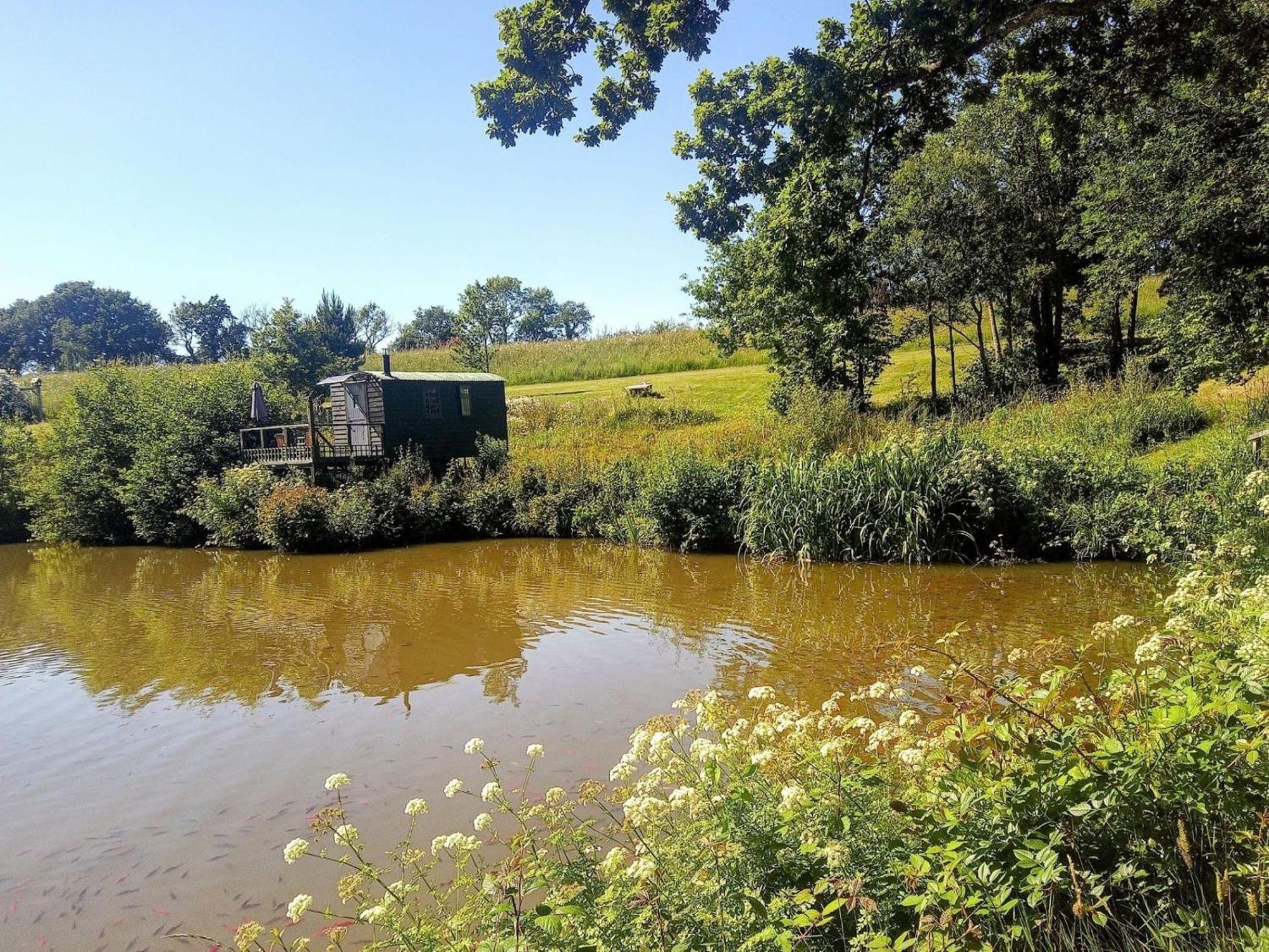 Snug & Secluded Lakeside Shepherds Hut 'Carp' Uckfield Bagian luar foto